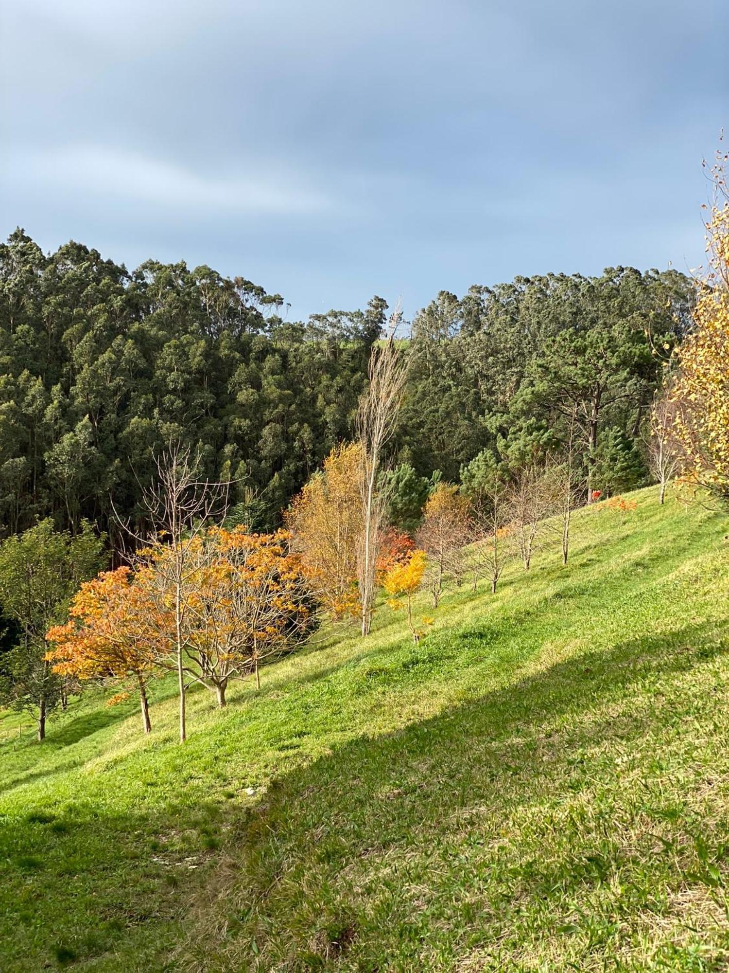 Finca Portizuelo Luarca Ngoại thất bức ảnh