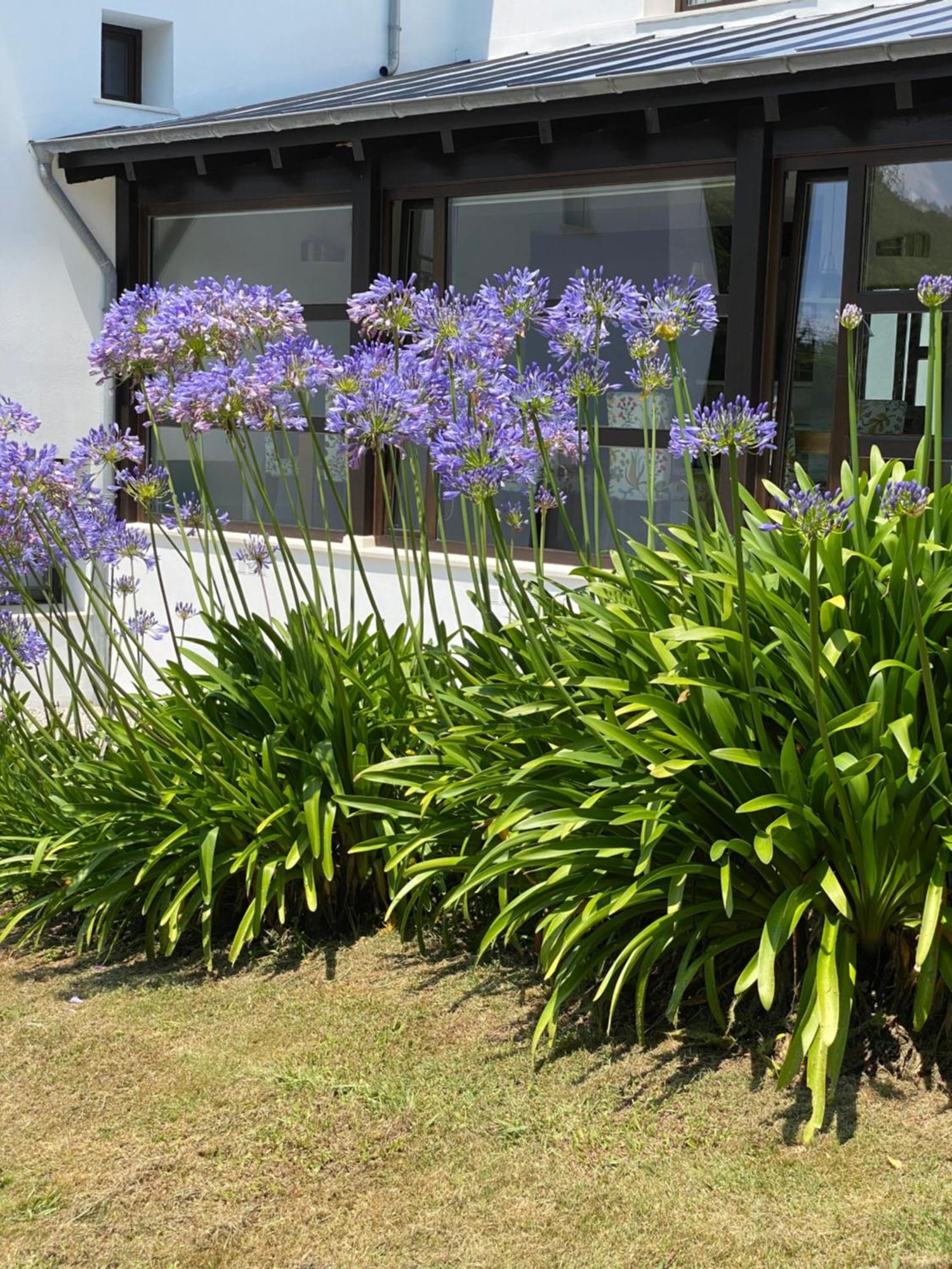 Finca Portizuelo Luarca Ngoại thất bức ảnh