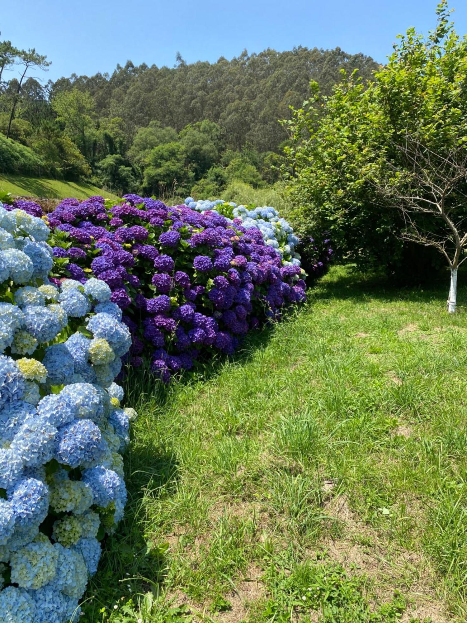 Finca Portizuelo Luarca Ngoại thất bức ảnh