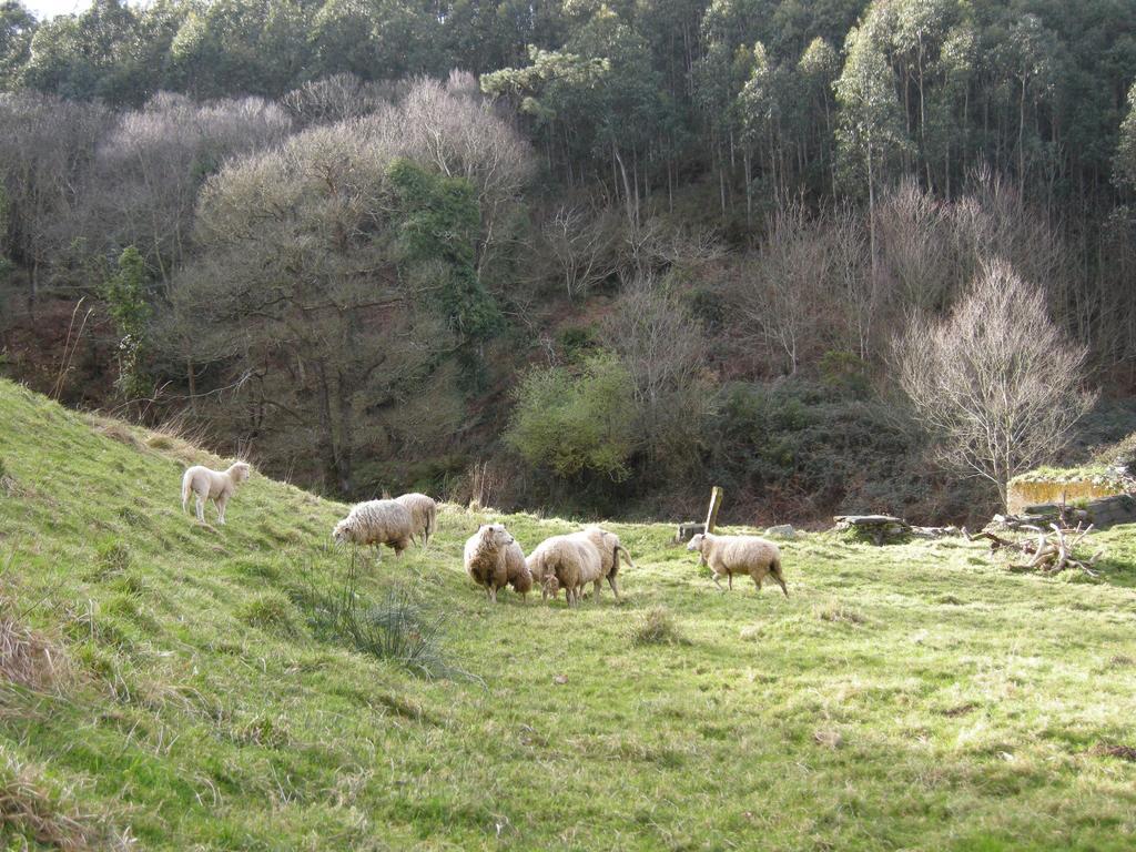 Finca Portizuelo Luarca Ngoại thất bức ảnh