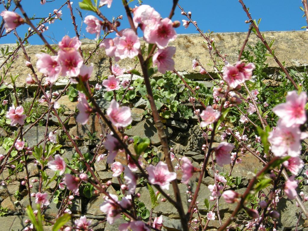 Finca Portizuelo Luarca Ngoại thất bức ảnh
