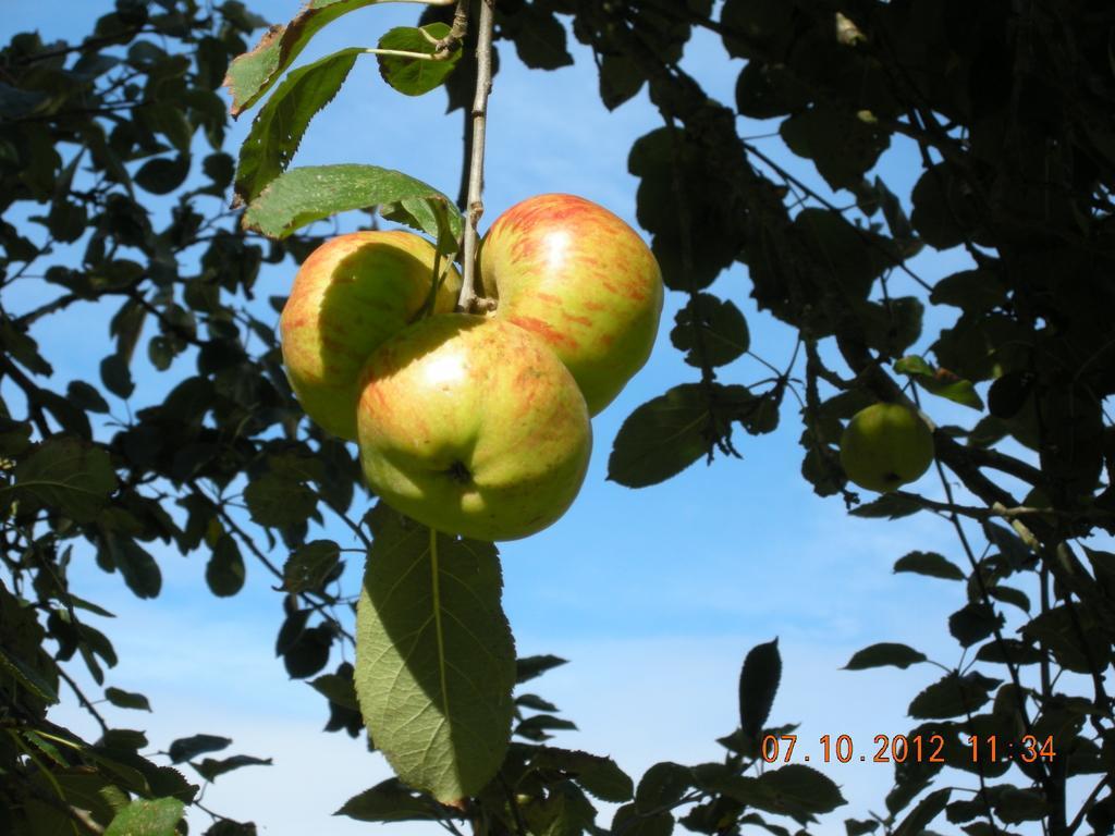 Finca Portizuelo Luarca Ngoại thất bức ảnh