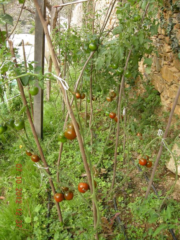 Finca Portizuelo Luarca Ngoại thất bức ảnh